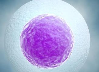 三代试管促排4天后卵泡数量和大小还会增加吗？