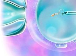 试管婴儿用的取卵针的直径有多粗？试管婴儿双腔取卵针是什么意思？