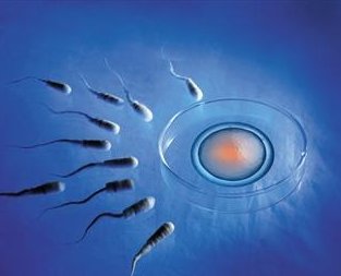 试管婴儿成功怀孕有什么症状？试管婴儿怀孕后注意事项